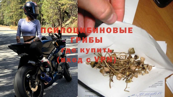 PSILOCYBIN Балахна