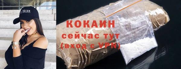 ECSTASY Белокуриха