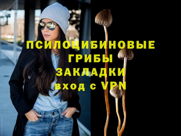 ECSTASY Белокуриха